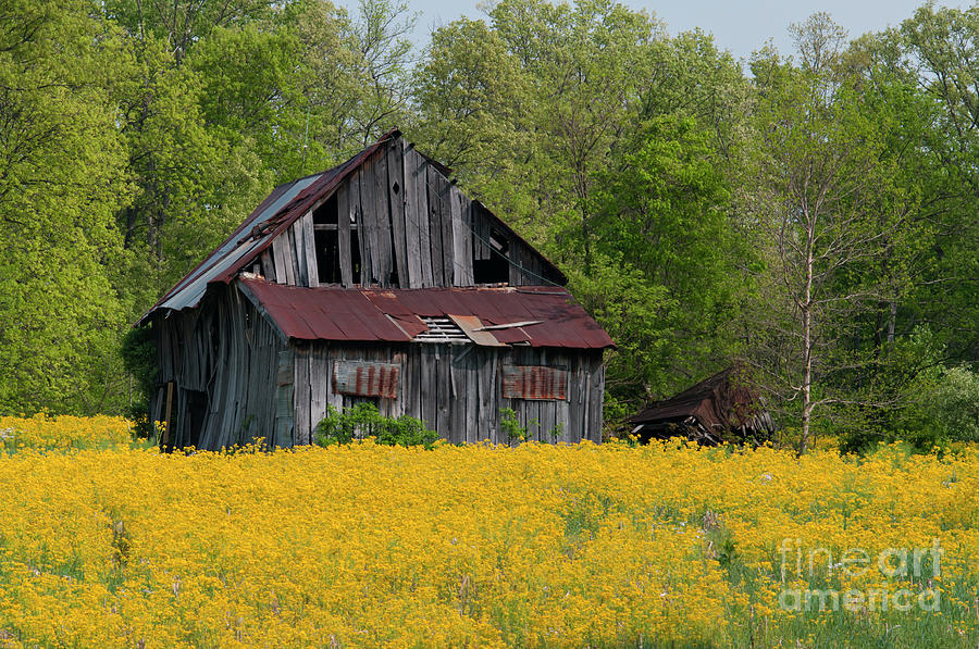 Tired Indiana Barn - D010095 Photograph by Daniel Dempster