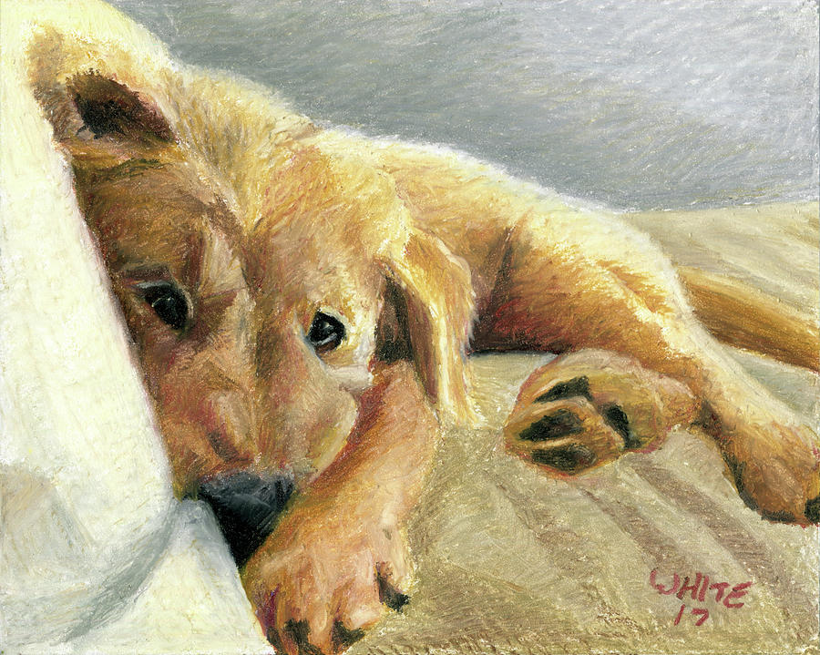 Tired Puppy by Dominic White Tired Puppy by Dominic White