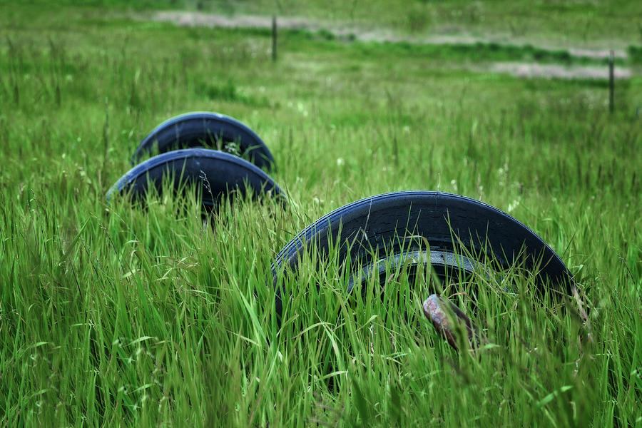 Tires - Grassy Field Photograph by Nikolyn McDonald