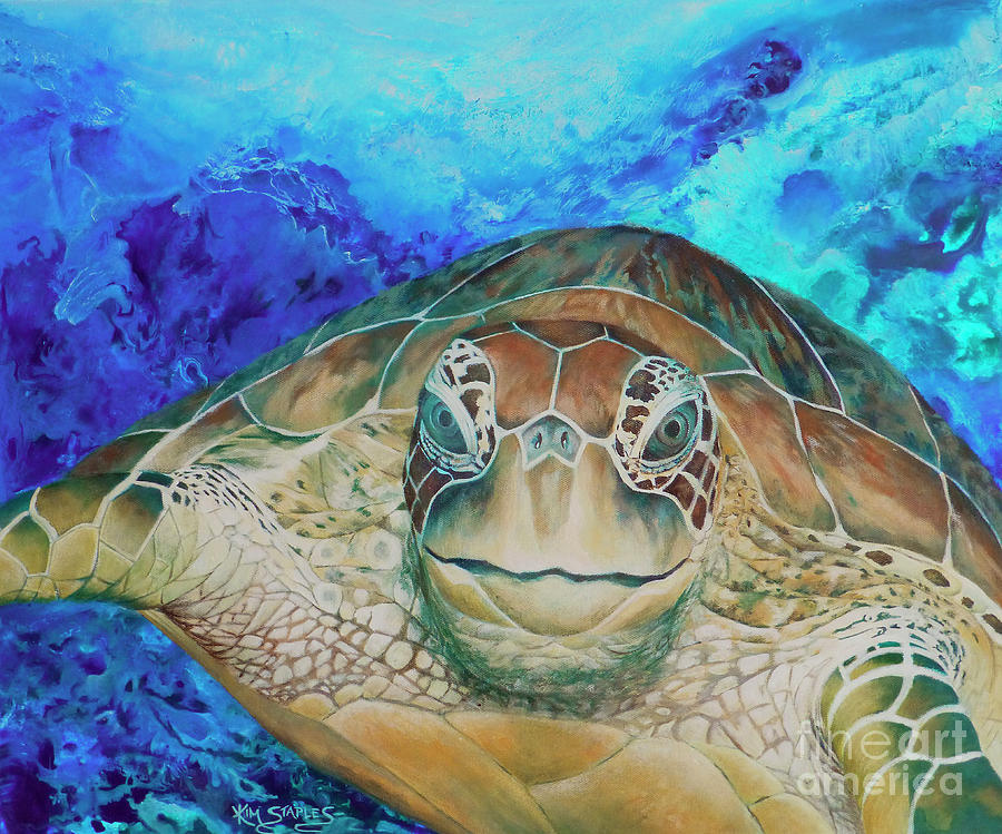 Tirtle amoungst the reef Painting by Kim Staples - Fine Art America