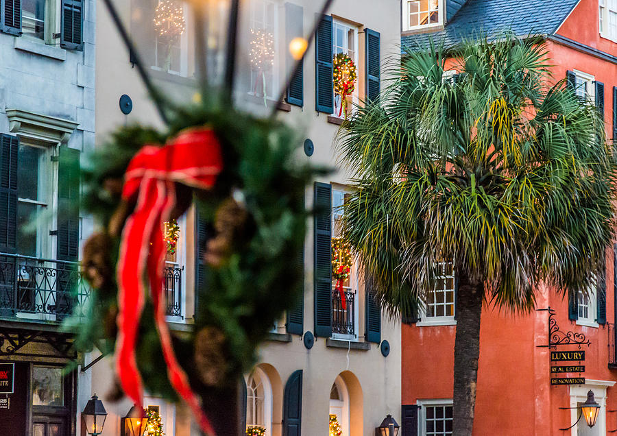 Tis the Season - Charleston SC Photograph by Donnie Whitaker
