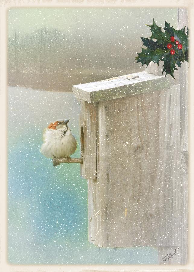 Bird Photograph - Tis the Season by Fran J Scott