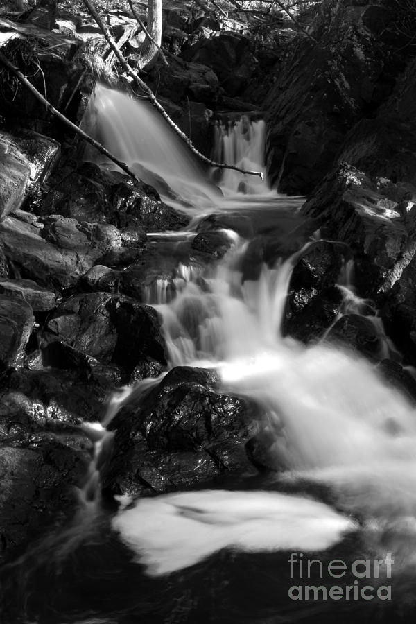 Tischer Creek #3 Photograph by Rick Rauzi