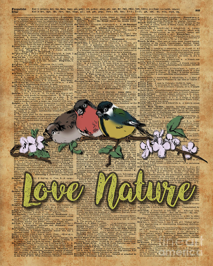 Bird Digital Art - Tit,Bullfinch and Sparrow on branch over Old Book Page  by Anna W