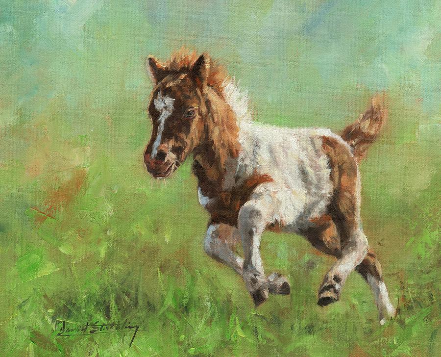 Titch. Minature Horse Foal Painting by David Stribbling
