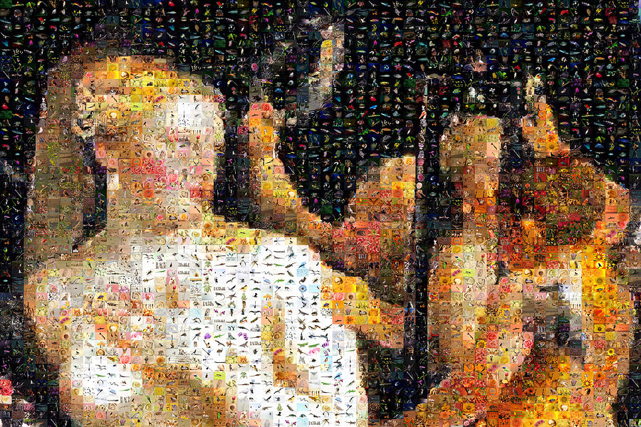 titians venus with a mirror essay titians venus with a mirror essay