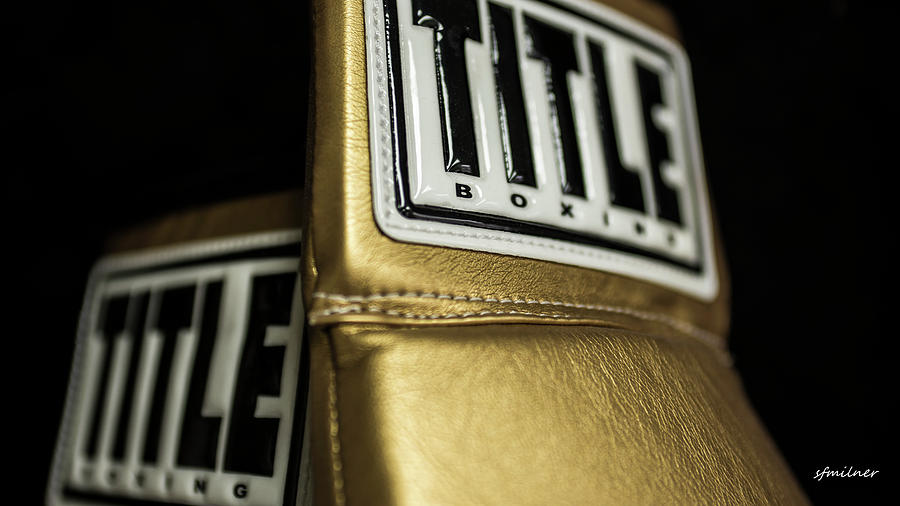 Title Boxing Gloves Photograph by Steven Milner