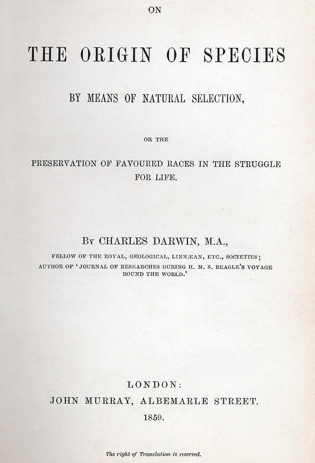 Title Page of The Origin of Species by Charles Darwin Drawing by Charles Darwin