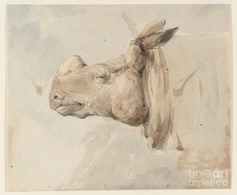 Title The Head of a Rhinoceros Painting by MotionAge Designs