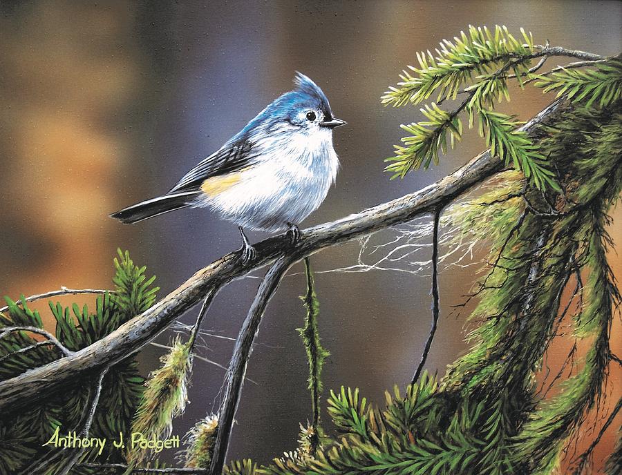 Titmouse Painting by Anthony J Padgett