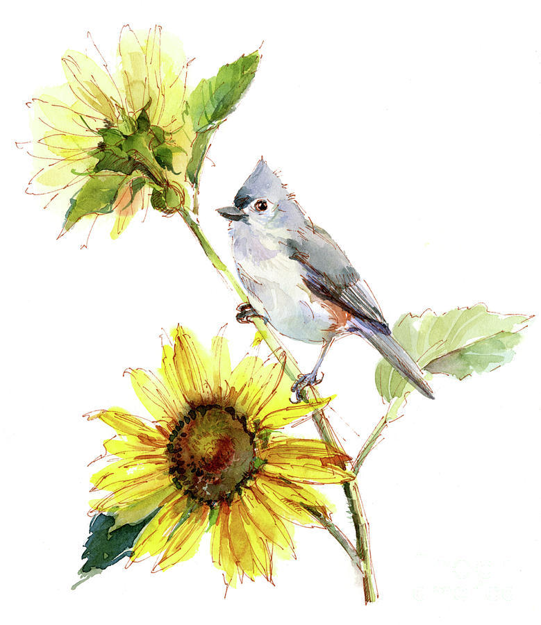 Titmouse with Sunflower Painting by John Keeling
