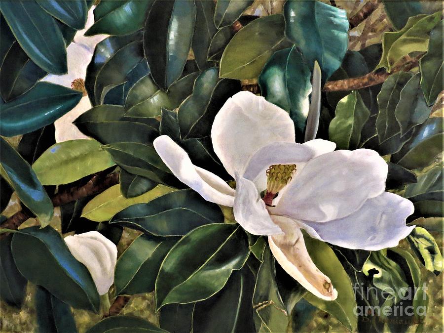 Tlaquepaque Magnolia by Beverly Theriault Tlaquepaque Magnolia by Beverly Theriault