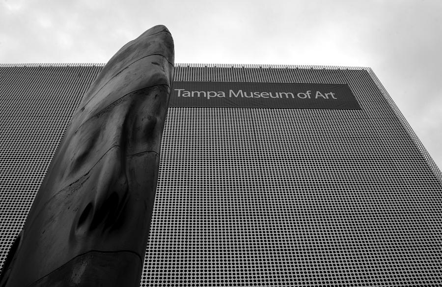 Tampa Museum of Art work A Photograph by David Lee Thompson