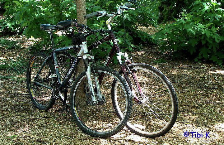 Bicycle Photograph - Two Bikes by Tibi K