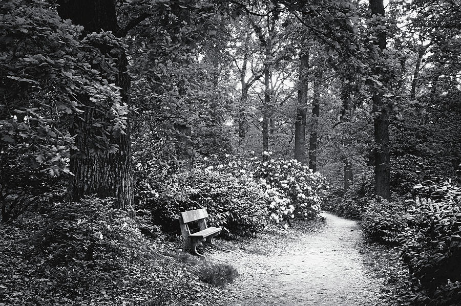 To Blend with Nature. Black and White Photograph by Jenny Rainbow