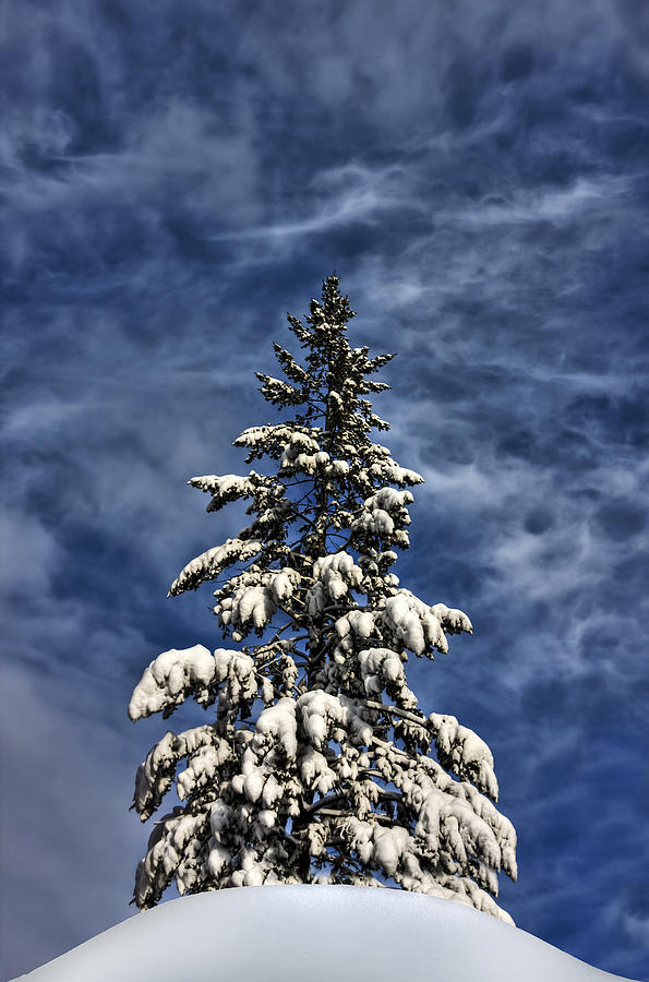 Winter Photograph - To Blue Horizons by Evelina Kremsdorf