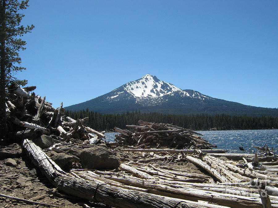 To build a fire at Four Mile Lake Photograph by Marie Neder