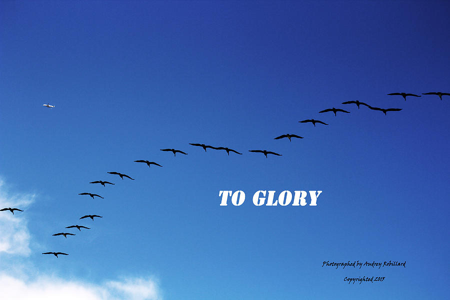 To Glory Photograph by Audrey Robillard