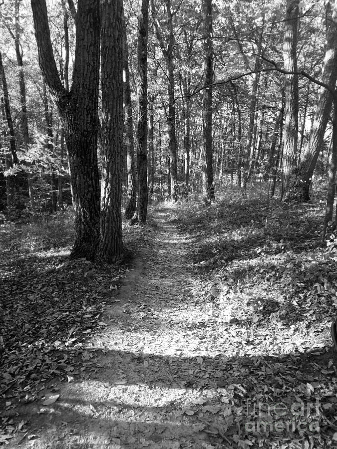 To Grandmothers House - Black and White Photograph by Scott D Van Osdol ...