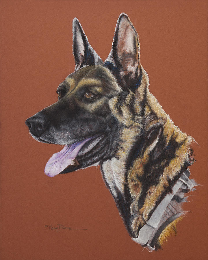 To Honor the Navy SEALs K9 Storm Intruders Pastel by Mary Dove