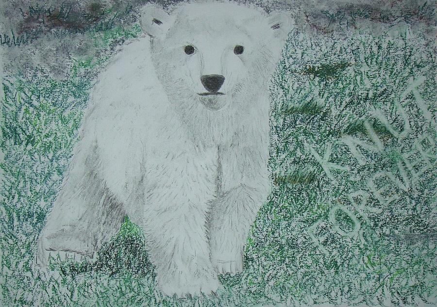 to Knut with love Drawing by Cybele Chaves