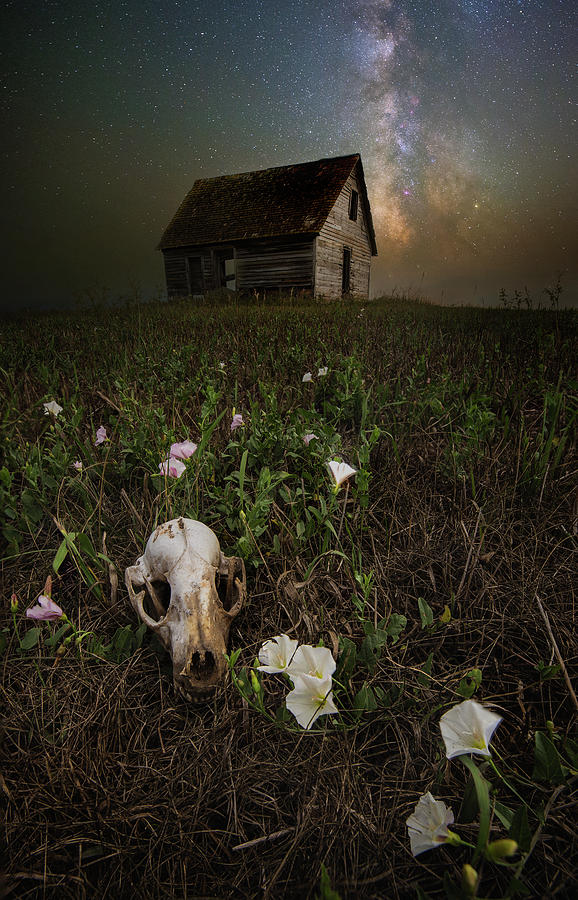 To live is to die Photograph by Aaron J Groen