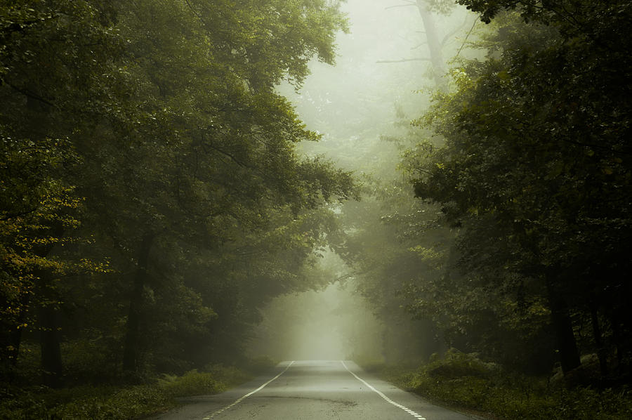 To Nowhere... Photograph by Martin Podt - Fine Art America