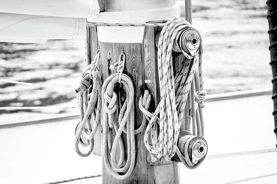 To Sail or Knot Photograph by Greg Fortier