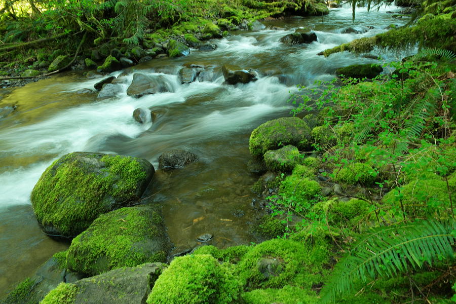 To sit and watch Photograph by Jeff Swan - Fine Art America