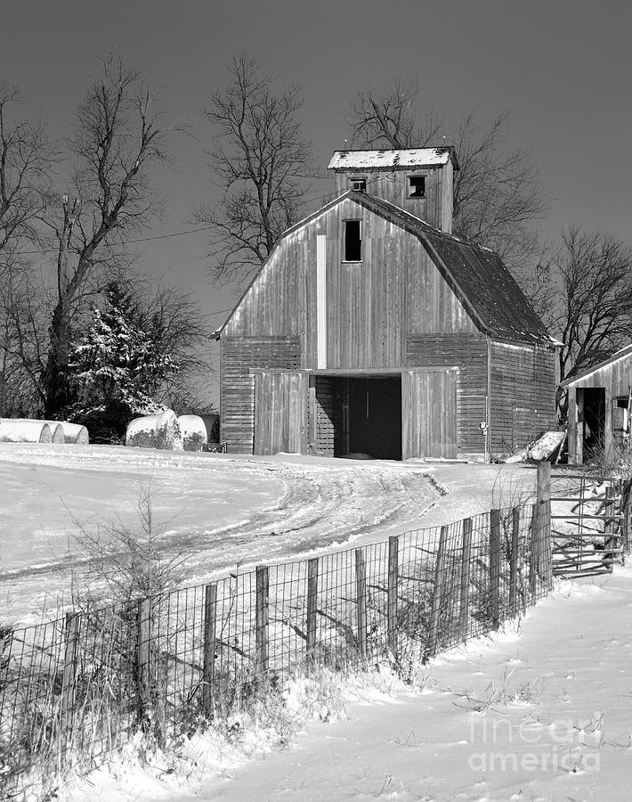 To the Barn 2597 Photograph by Ken DePue