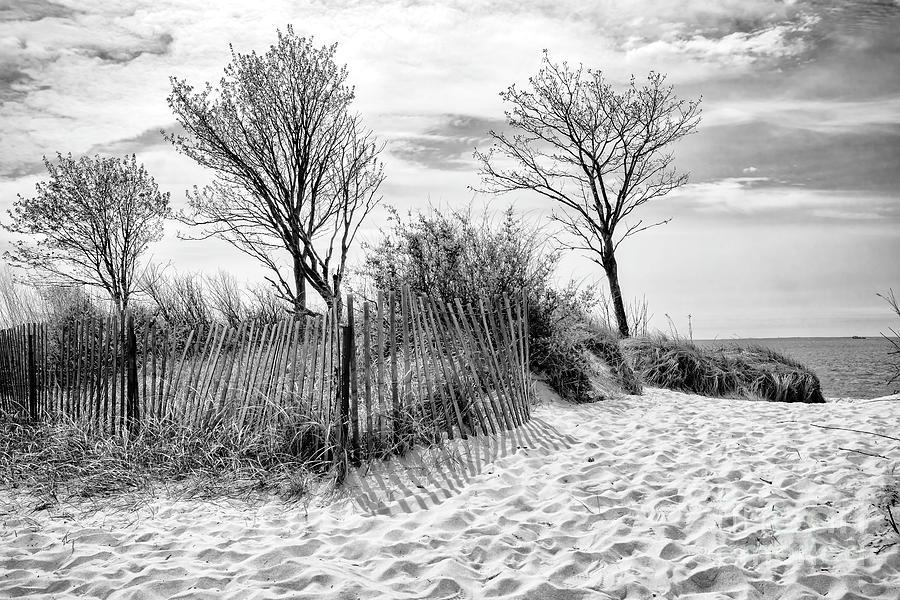 To The Beach Photograph by Joe Geraci