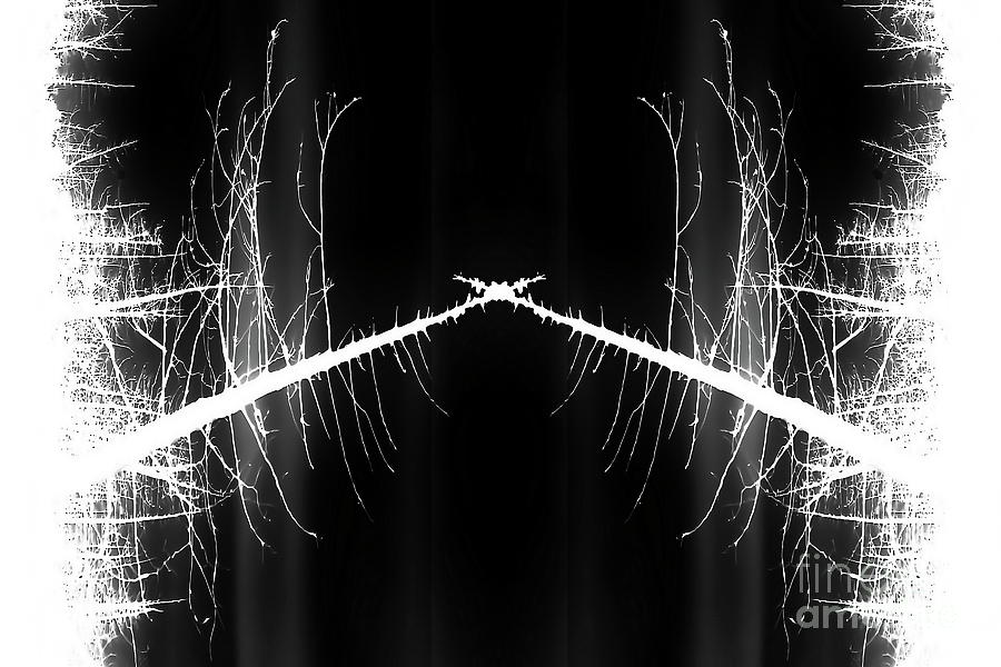 Black And White Digital Art - To the Crossroads by Tim Richards