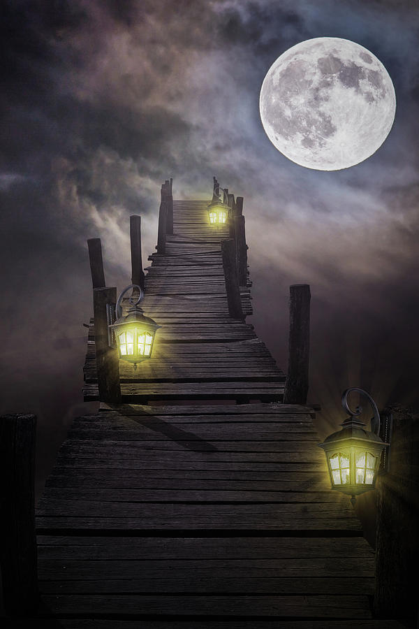 To the moon and back Digital Art by Mihaela Pater