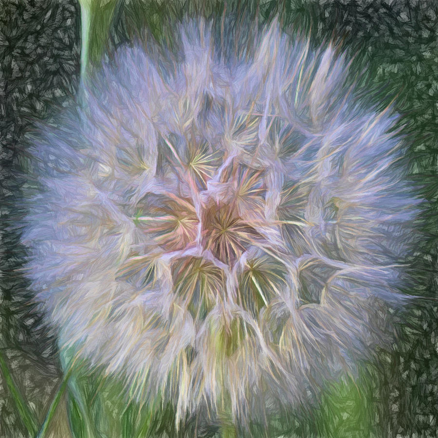 To Wish Upon A Breeze Digital Art by Becky Titus