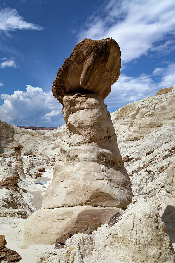 Toadstools in Grand Staircase Escalante National Monument Photograph by Rick Pisio
