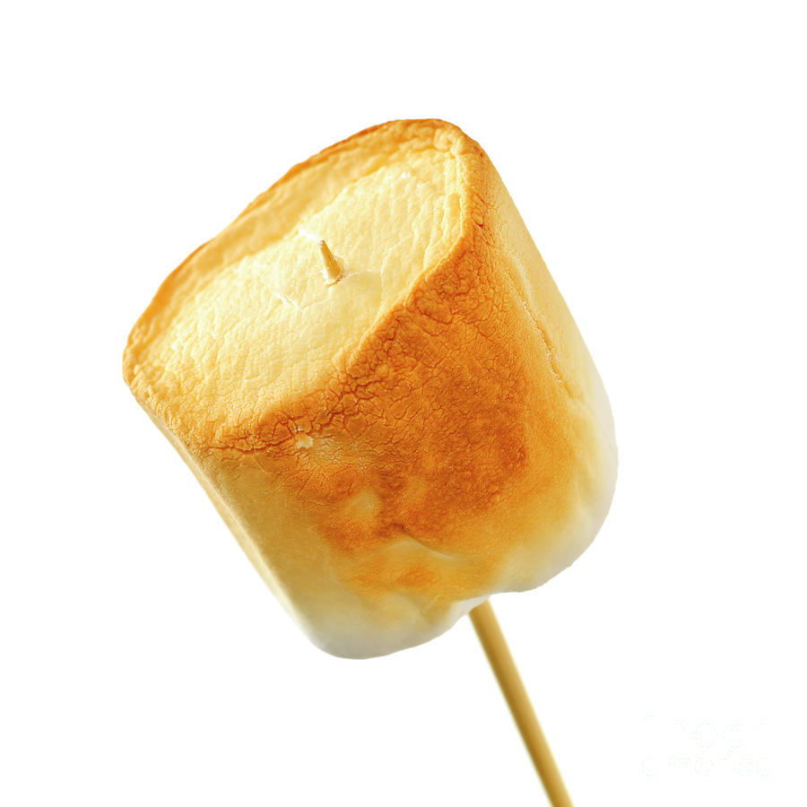 Candy Photograph - Toasted marshmallow by Elena Elisseeva