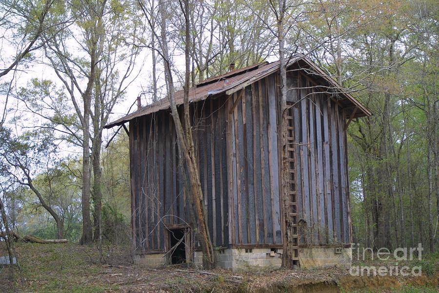 Tobacco Barn Photograph by Dodie Ulery