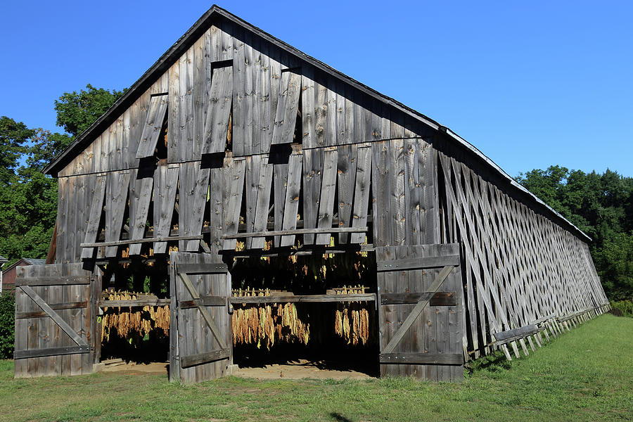 Tobacco Barn  Painting by Imagery-at- Work