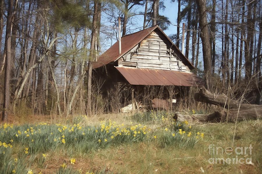 Tobacco Barn in Spring Photograph by Benanne Stiens