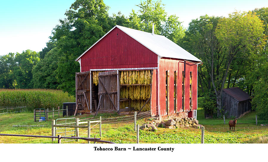 Tobacco Barn Lancaster County Photograph by David Speace