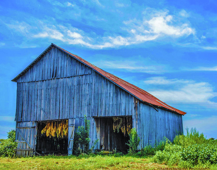 Tobacco Blue Photograph by Chad Fuller - Fine Art America