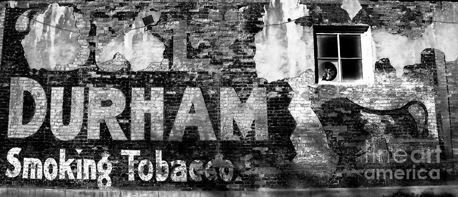 Bull Durham Photograph - Tobacco Days by David Lee Thompson