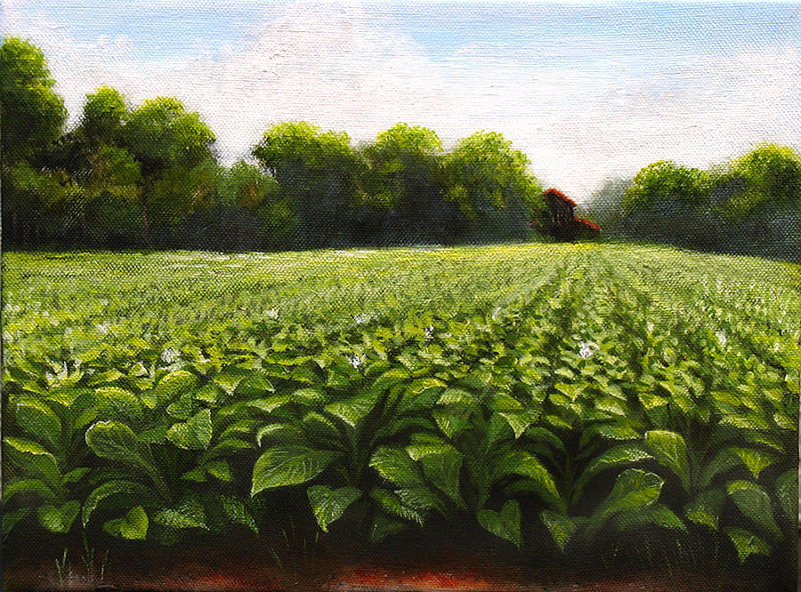 Landscape Painting - Tobacco Field Near Creedmoor by Duane Dorshimer