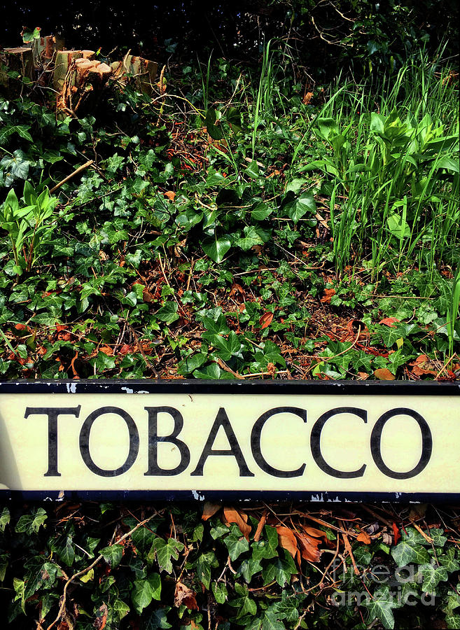 Tobacco sign Photograph by Tom Gowanlock