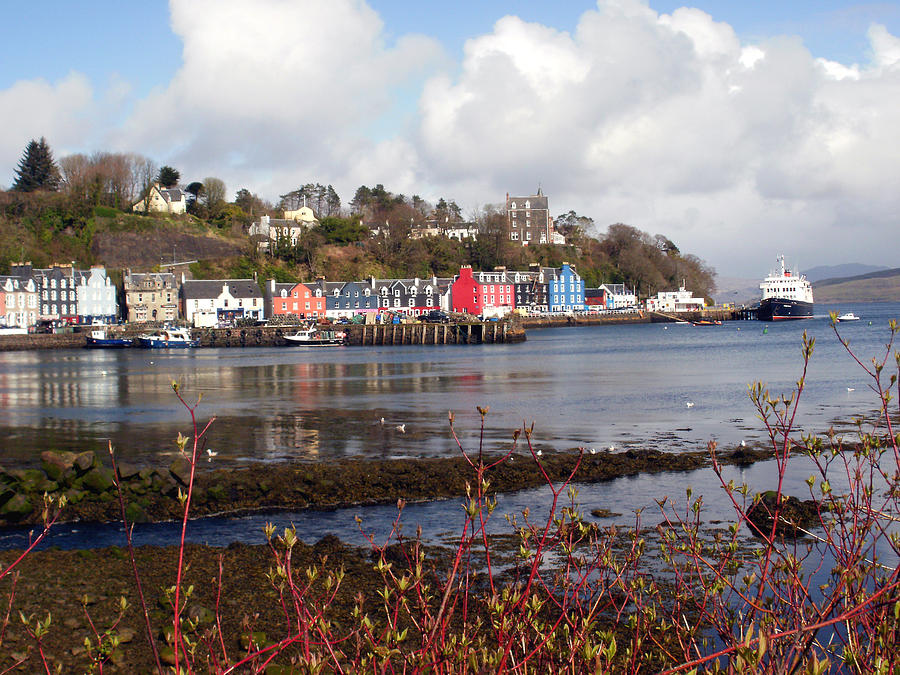 Boat Photograph - Tobermory Arrival by Rodger Insh