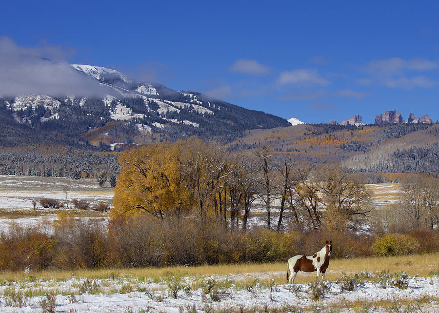 Tobiano Paint Horse Below The Castles In The West Elk Wilderness Photograph