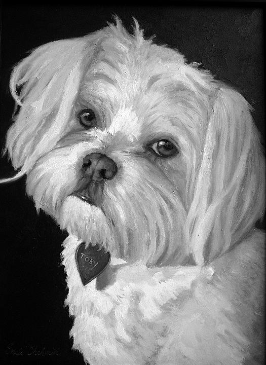 Toby Painting by Portraits By NC