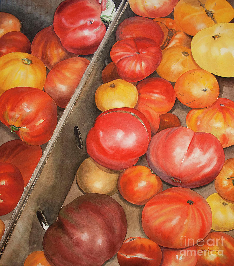 Vegetable Painting - Tobys Tomatoes by Kate Peper