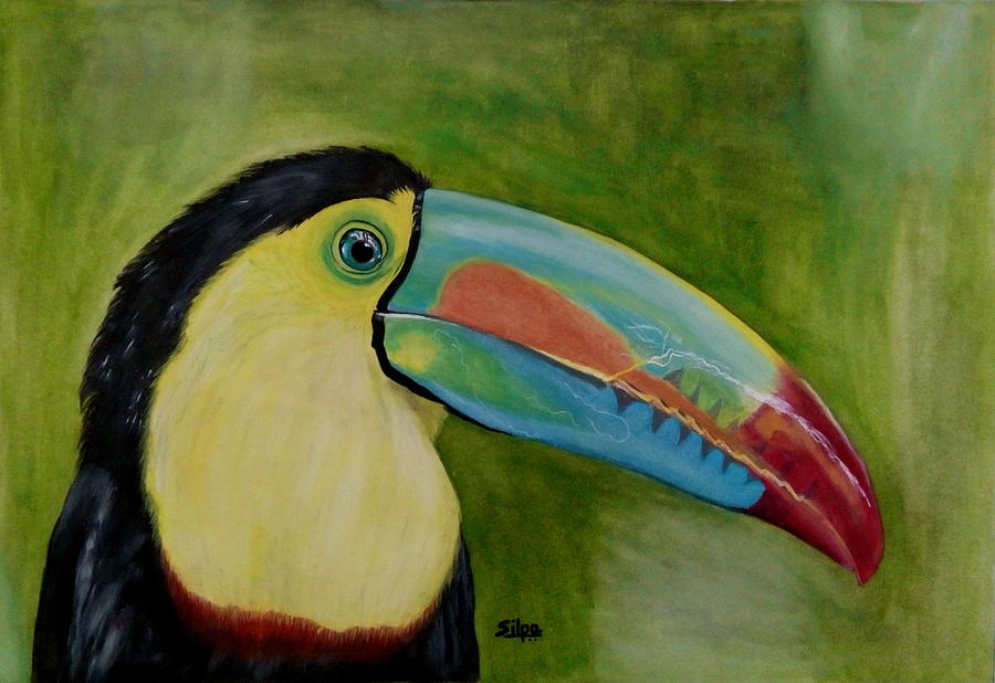 Toco Toucan Painting by Silpa Saseendran