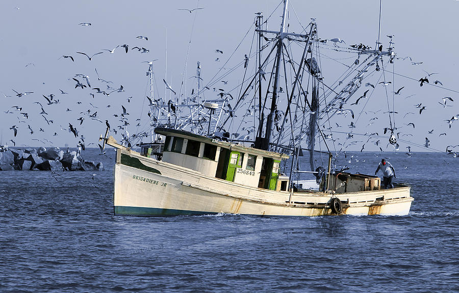 Todays Catch Photograph by Cecil Fuselier